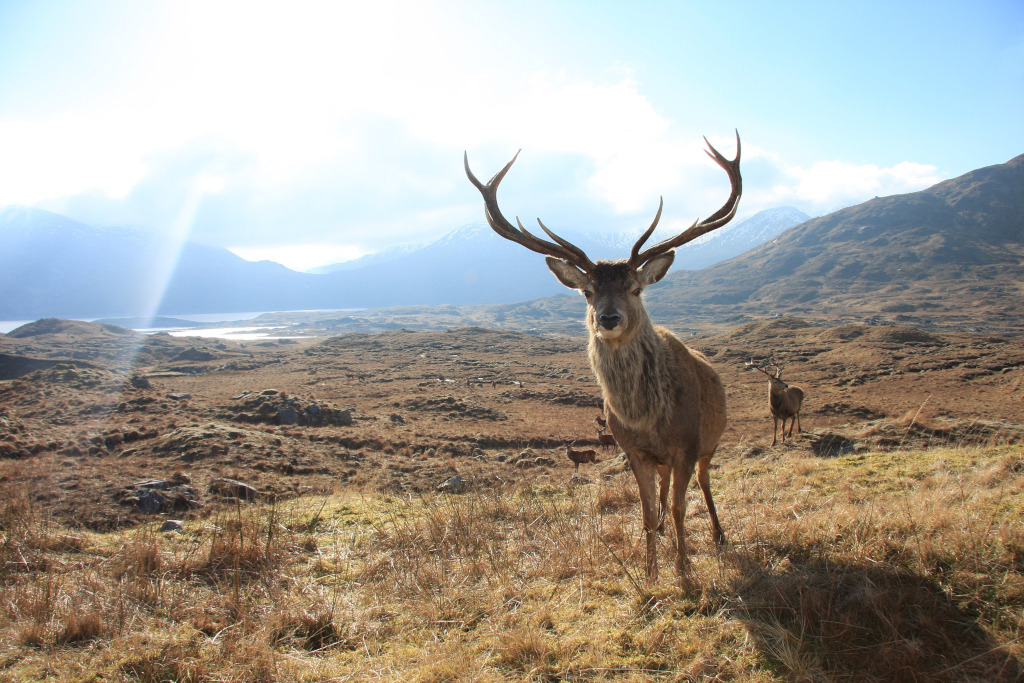 Loch Tay